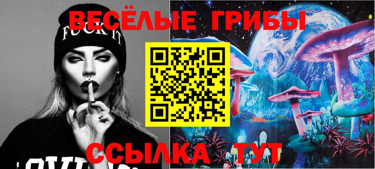 купить наркотик  Галлюциногенные грибы Cubensis  Вход с VPN  Феодосия 